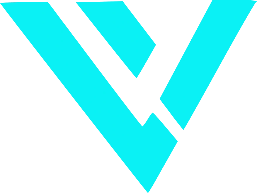 Vanguard Vision